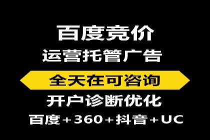 成功企业SEM竞价代运营案例研究